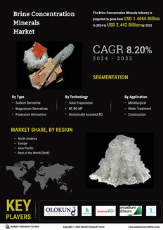 Brine Concentration Minerals Market