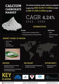 Calcium Carbonate Market