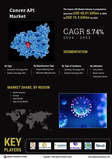 Cancer API Market