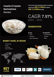 Casein Derivatives Market