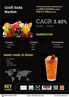 Craft Soda Market