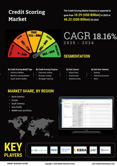 Credit Scoring Market