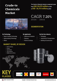 Crude to chemicals Market