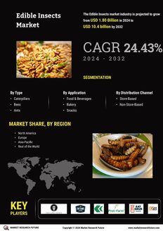 Edible Insects Market