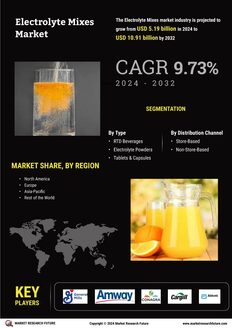 Electrolyte Mixes Market