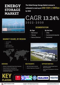 Energy Storage Market