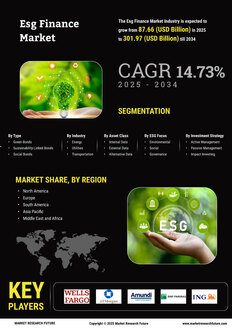 Esg Finance Market