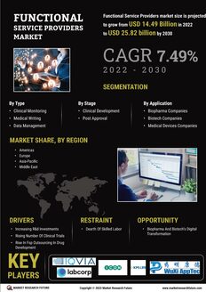 Functional Service Providers (FSP) Market