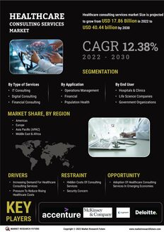 Healthcare Consulting Services Market