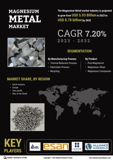 Magnesium Metal Market