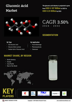 Gluconic Acid Market