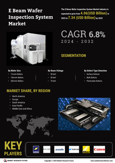 E Beam Wafer Inspection System Market