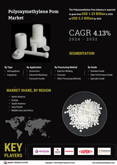 Polyoxymethylene Pom Market