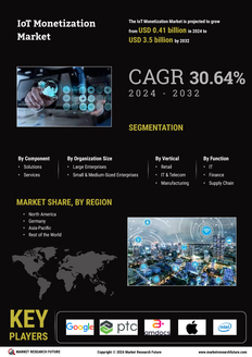 IoT Monetization Market