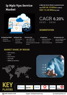 Ip Mpls Vpn Service Market