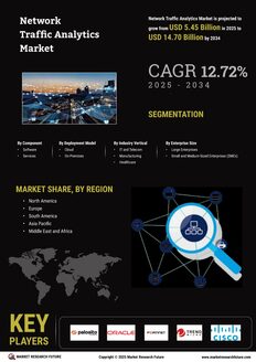 Network Traffic Analytics Market