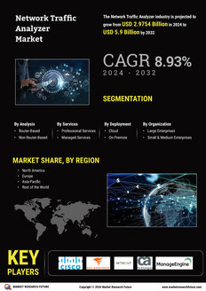 Network Traffic Analyzer Market