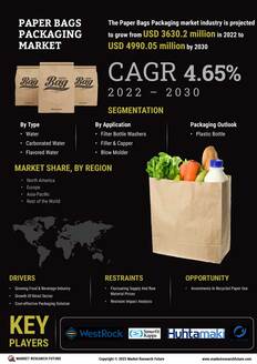 Paper Bags Packaging Market