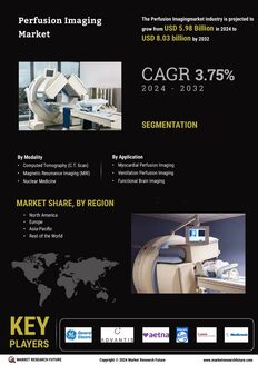 Perfusion Imaging Market