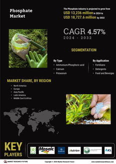 Phosphate Market