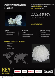 Polyoxymethylene Market