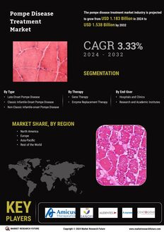 Pompe Disease Treatment Market