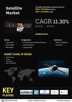 Satellite Market