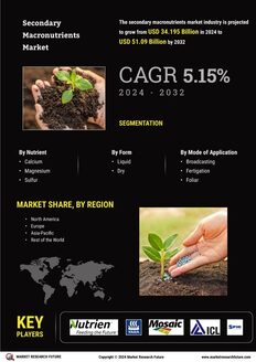 Secondary Macronutrients Market