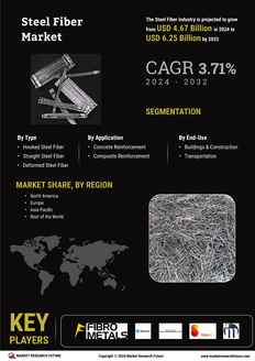 Steel Fiber Market