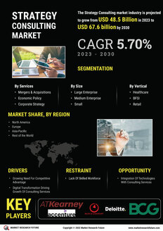 Strategy Consulting Market