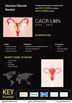 Uterine Fibroid Market