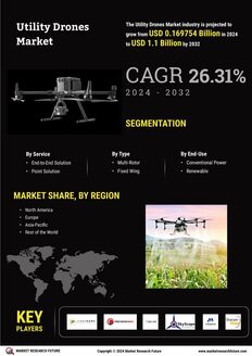 Utility Drones Market