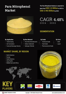 Para Nitrophenol Market