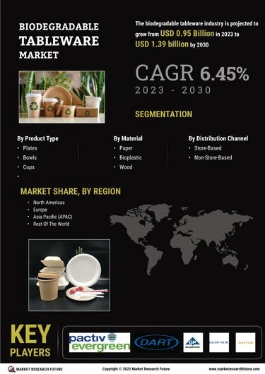 The leader in the development of tableware industry: eco friendly