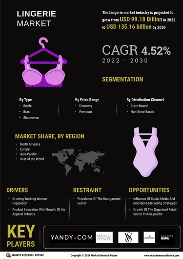 Lingerie Market Analysis: The Latest Industry Insights and Trends (2022)