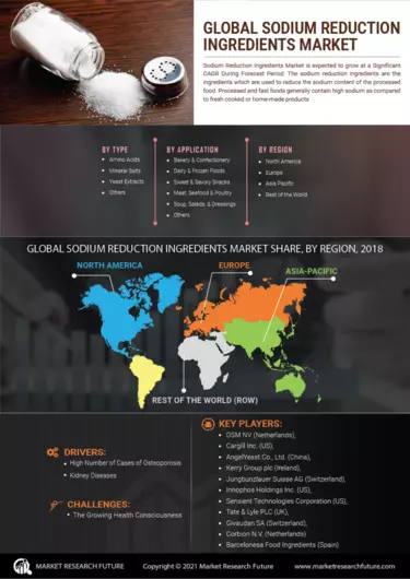 Sodium Lactate Market Size, Share & Growth Report, 2030