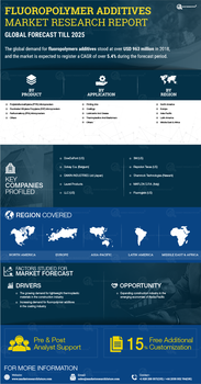 Fluoropolymer Additives Market