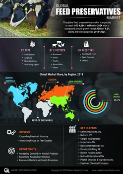 Feed Preservatives Market