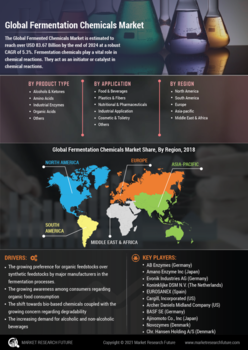 Fermentation Chemicals Market