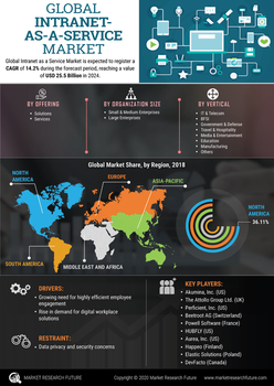 Intranet Service Market