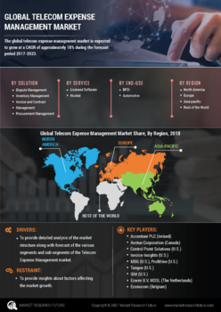 Telecom Expense Management Market