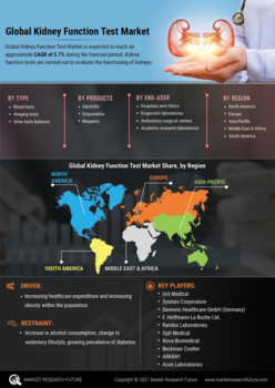 Kidney Function Test Market