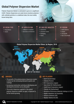 Polymer Dispersion Market