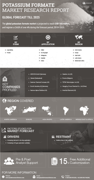 Potassium Formate Market
