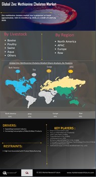 Zinc Methionine Chelates Market