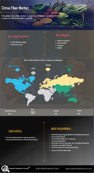 Citrus Fiber Market