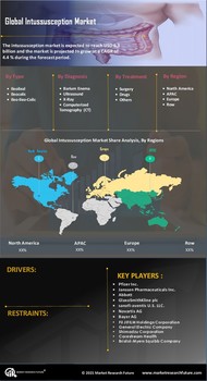 Intussusception Market
