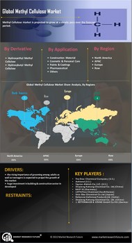 Methyl Cellulose Market