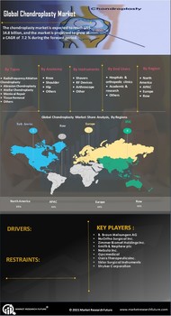 Chondroplasty Market