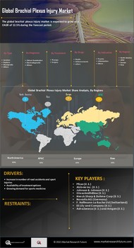 Brachial Plexus Injury Market